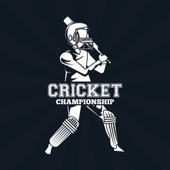 Poster - cricket player icon