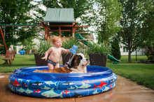 Shirtless Boy Pouring Water On Dog While Standing In Wading Pool In Yard