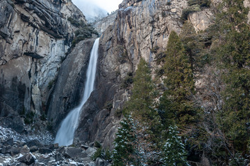 Wall Mural - Yosemite National Park