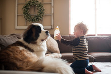 Side View Of Cute Baby Boy Showing Milk Bottle To Dog On Sofa At Home