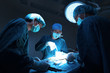 © nimon_t - group of veterinarian surgery in operation room take with art lighting and blue filter