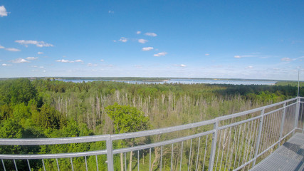  widok na jezioro i las z wieży widokowej