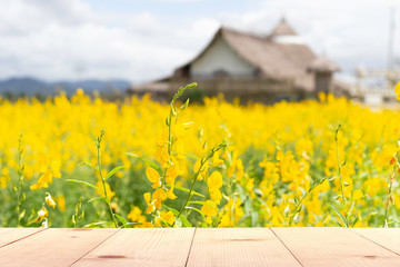 Wall Mural - wooden table and gold sunhemp field