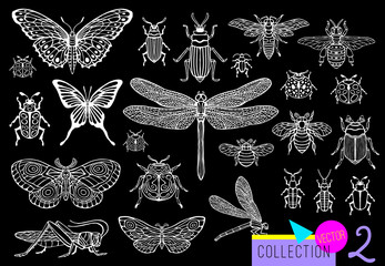 Wall Mural - Big hand drawn line set of insects bugs, beetles, honey bees, butterfly moth, bumblebee, wasp, dragonfly, grasshopper. Silhouette vintage sketch style engraved illustration