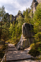 Wall Mural - Trail near the rocks and the forest.