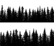 Horizontal banner silhouettes of spruce coniferous forest.
