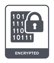 Encrypted Icon Vector