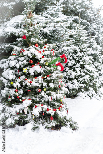 Fun Outside Christmas Tree With Bright Decorations Buy This