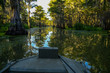 Bow of Boat Cruising thru Shadows of Cypress Trees on Calm Bayou in East Texas