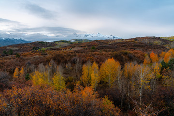 Wall Mural - Snow capped peaks rise to meet pastel sunset colored skies in the Colorado Rockies