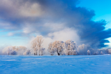 Winter landscape. Cold day.