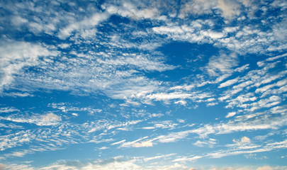 Wall Mural - blue sky and white clouds
