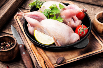 Sticker - Fresh raw quail on a kitchen board and ingredients.Quail meat