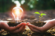 hand holding lightbulb with small tree. concept energy power in nature