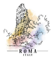 Wall Mural - Roma sketch