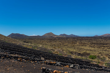 Wall Mural - Canary islands lanzarote volcano landscape sunny day