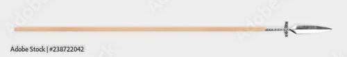 Fotomural Realistic 3d Render of Viking Spear