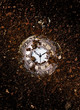 © photo_HYANG - An antique pocket watch