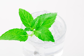 Poster - Closeup of cold water with fresh mint leaves and ice cubes 