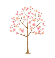 Canvas Print - Watercolor vector illustration tree with pink flowers.