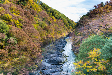 Wall Mural - Takatsudo Gorges wrapped in autumn leaves / Takatsudo Gorges is a valley in Takatsudo Omama-machi, Midori-city, Gunma Prefecture, Japan.