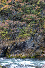 Wall Mural - Takatsudo Gorges wrapped in autumn leaves / Takatsudo Gorges is a valley in Takatsudo Omama-machi, Midori-city, Gunma Prefecture, Japan.