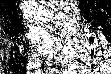 Poster - Black on white weathered texture. Aged tree bark surface. Distressed vector overlay for vintage effect.