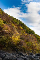 Wall Mural - Takatsudo Gorges wrapped in autumn leaves / Takatsudo Gorges is a valley in Takatsudo Omama-machi, Midori-city, Gunma Prefecture, Japan.