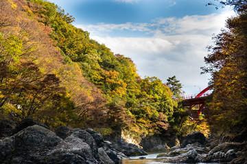 Wall Mural - Takatsudo Gorges wrapped in autumn leaves / Takatsudo Gorges is a valley in Takatsudo Omama-machi, Midori-city, Gunma Prefecture, Japan.