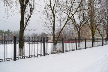 Wall Mural - View over the metal fence on the trees in the Park in winter.