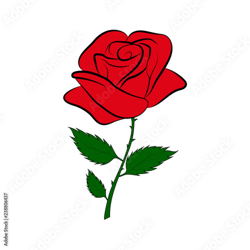 Featured image of post Red Rose Colour Drawing / Your drawings may also be featured on the homepage!!