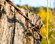 Macro Rusty Barbed Wire On Weathered Fence Post Autumn