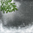 Christmas tree branches snow holidays background