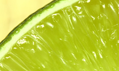 Lime Slice