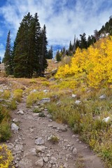 Silver Lake by Solitude and Brighton Ski resort in Big Cottonwood Canyon. Panoramic Views from the hiking and boardwalk trails of the surrounding mountains, aspen and pine trees in brilliant fall autu