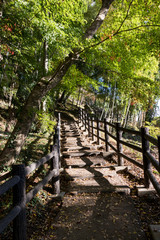 Wall Mural - Takatsudo Gorges wrapped in autumn leaves / Takatsudo Gorges is a valley in Takatsudo Omama-machi, Midori-city, Gunma Prefecture, Japan.