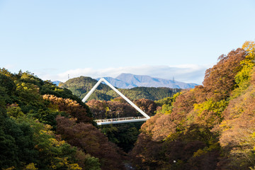Wall Mural - Takatsudo Gorges wrapped in autumn leaves / Takatsudo Gorges is a valley in Takatsudo Omama-machi, Midori-city, Gunma Prefecture, Japan.