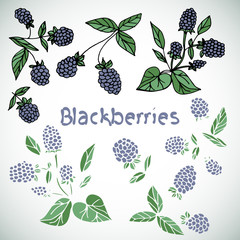 Wall Mural - Berry, blackberry. set. Doodle.