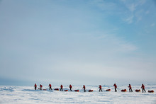 Barneo Drifting Camp, North Pole - April 11, 2015: Group Of Teenagers Going To Expedition To North Pole. Blue Sky, Sunny Weather, Snow On Arctic Ice.