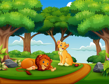 Cartoon Of Lion Couple In The Jungle