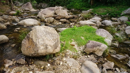 stream, water falls in nature 