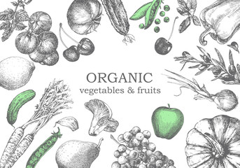 Wall Mural - Hand-drawn illustration of vegetables and fruits. Vector