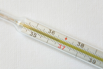 Medical thermometer shows normal body temperature.