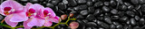 Fototapeta Panele - Pink Orchid lies on black stones