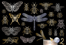 Big Hand Drawn Golden Line Set Of Insects Bugs, Beetles, Honey Bees, Butterfly, Moth, Bumblebee, Wasp, Dragonfly, Grasshopper. Silhouette Vintage Gold Silver Sketch Style Vector Illustration