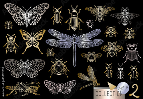 Fotografía Big hand drawn golden line set of insects bugs, beetles, honey bees, butterfly, moth, bumblebee, wasp, dragonfly, grasshopper