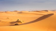 camels caravan ride by dunes  in desert in Morocco