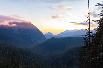 mountain sunset with a pine forest silhouetted