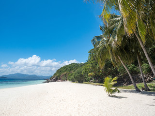 Tropical beach on the island Malcapuya, Philippines. Beautiful island with white sand and palm trees. November, 2018