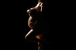 © PixlMakr - Dark silhouette nude pregnant woman with glossy skin covering her big breasts and holding her belly